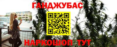 прущие грибы Краснознаменск