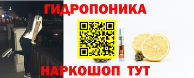 прущие грибы Краснознаменск