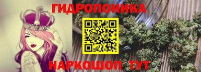 прущие грибы Краснознаменск