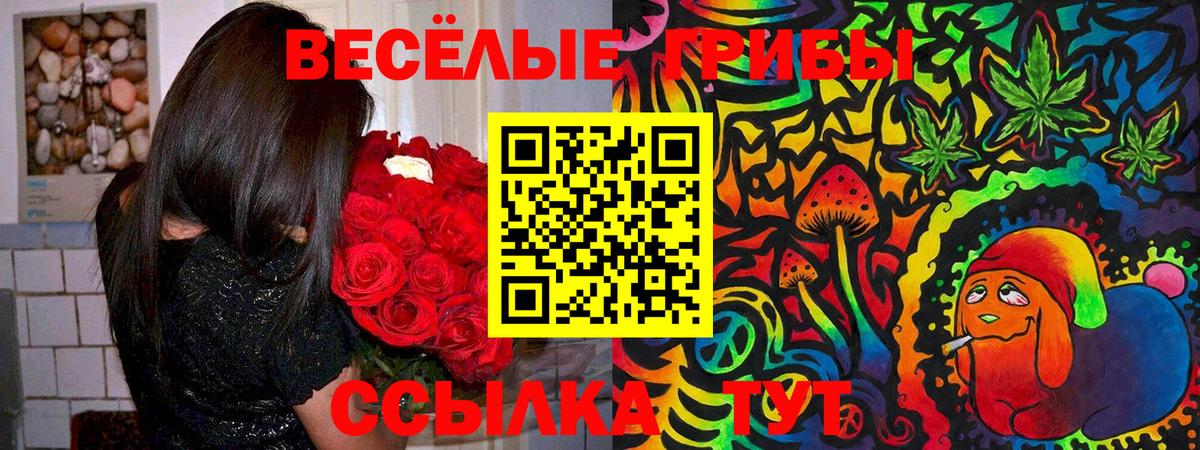 Псилоцибиновые грибы GOLDEN TEACHER Тверь